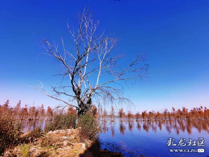 圈内人明星好感度调查:杨紫第一,肖战于适上榜,反感艺人被热议