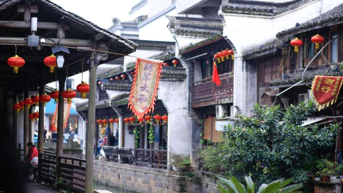 收到春晚邀请函,“田鼠大婶”的日记更新了!